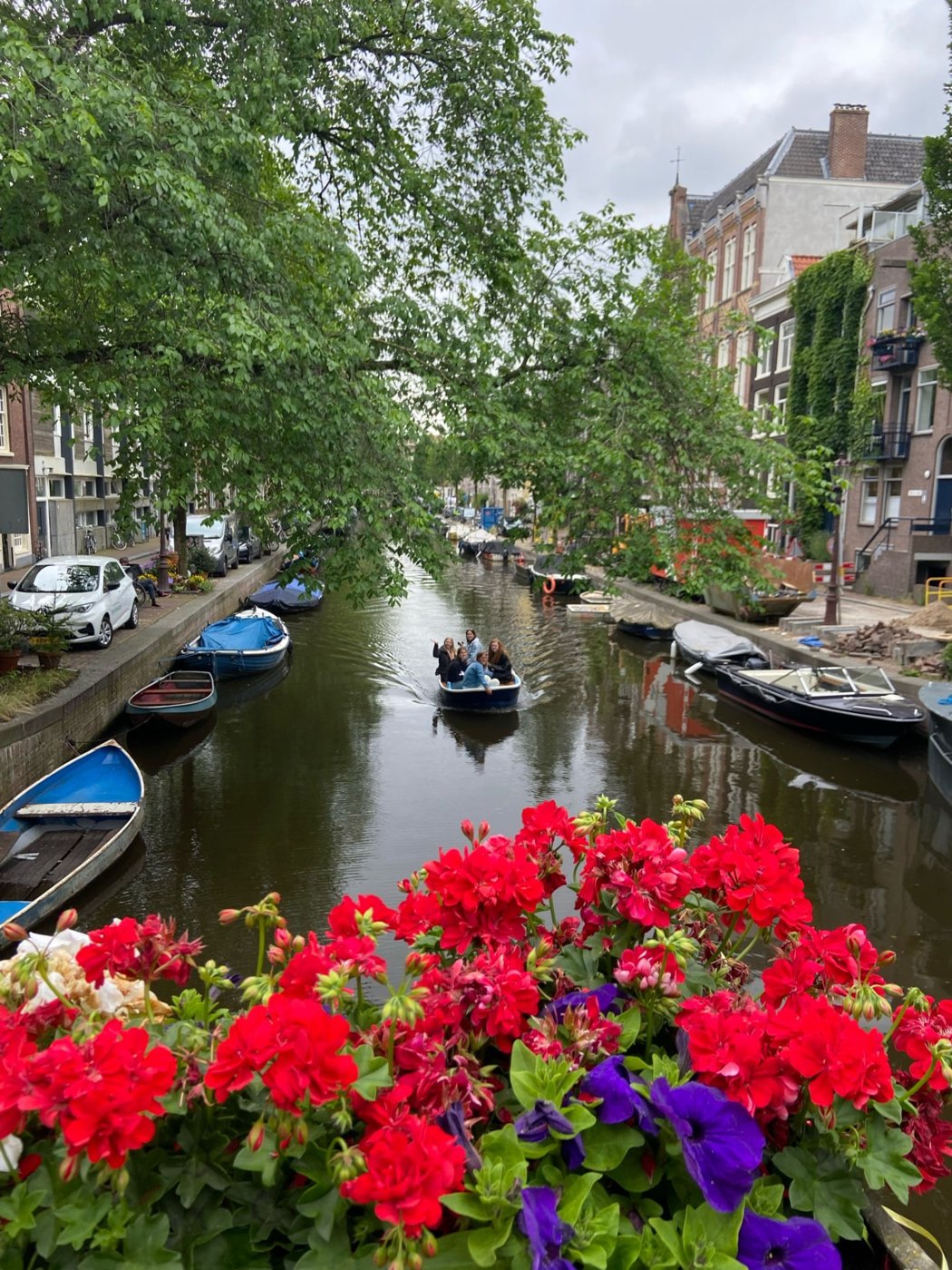 A small boat coming under the trees, geraniums on the bridge